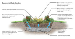 Rain Gardens | Property Pros Land Management